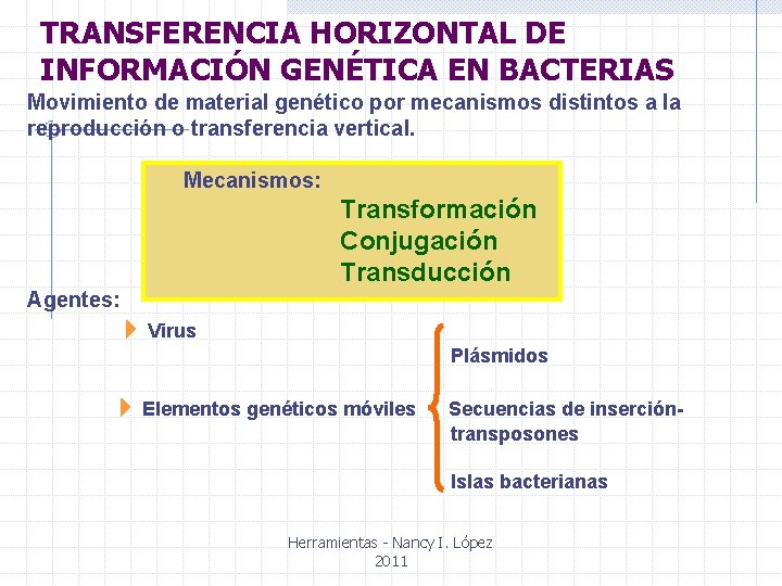 TRANSFERENCIA HORIZONTAL DE INFORMACIÓN GENÉTICA EN BACTERIAS Movimiento de material genético por mecanismos distintos