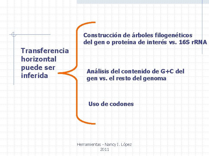 Construcción de árboles filogenéticos del gen o proteína de interés vs. 16 S r.