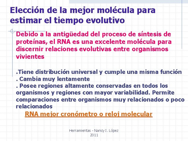 Elección de la mejor molécula para estimar el tiempo evolutivo Debido a la antigüedad