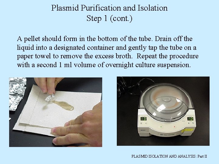 Plasmid Purification and Isolation Step 1 (cont. ) A pellet should form in the