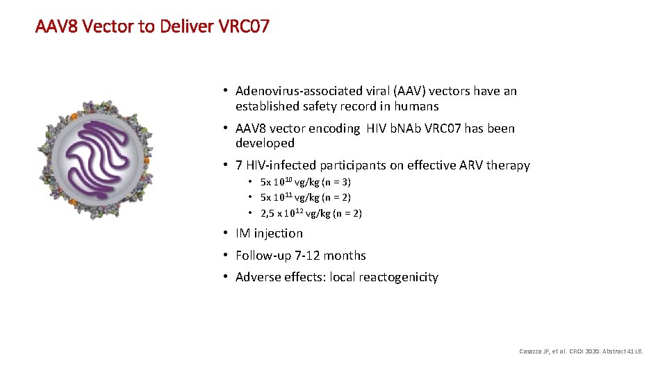 AAV 8 Vector to Deliver VRC 07 • Adenovirus-associated viral (AAV) vectors have an