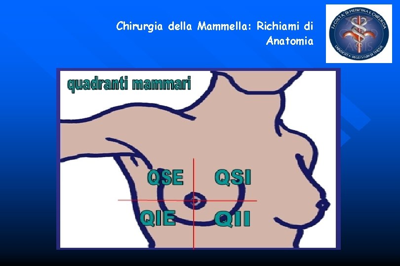 Chirurgia della Mammella: Richiami di Anatomia 