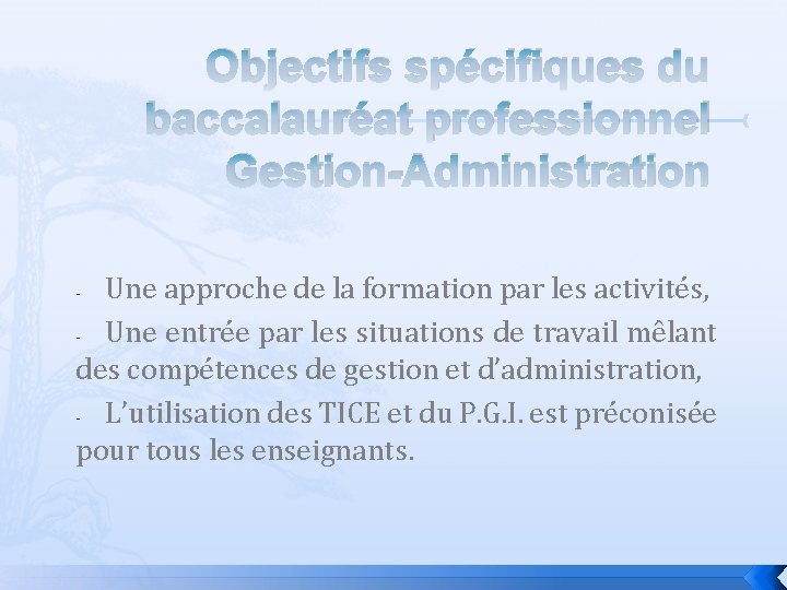 Objectifs spécifiques du baccalauréat professionnel Gestion-Administration Une approche de la formation par les activités,