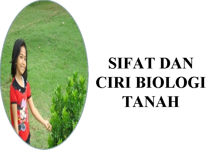 SIFAT DAN CIRI BIOLOGI TANAH 