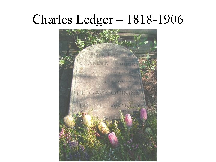 Charles Ledger – 1818 -1906 Charles Ledger – 1818 -1906