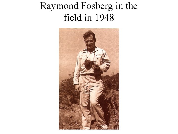 Raymond Fosberg in the field in 1948 Raymond Fosberg in the field in 1948