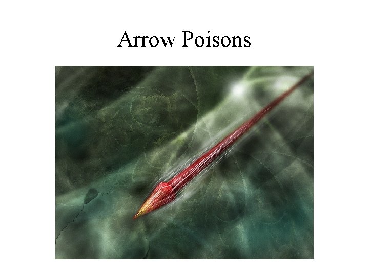 Arrow Poisons Arrow Poisons