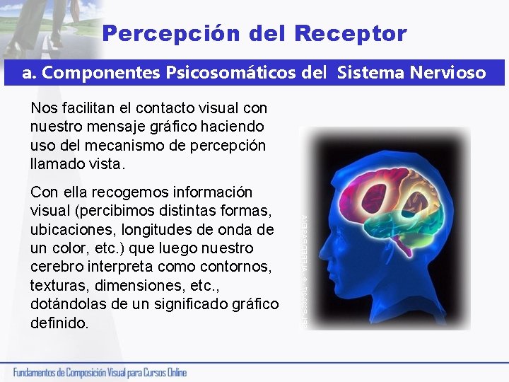 Percepción del Receptor a. Componentes Psicosomáticos del Sistema Nervioso Nos facilitan el contacto visual