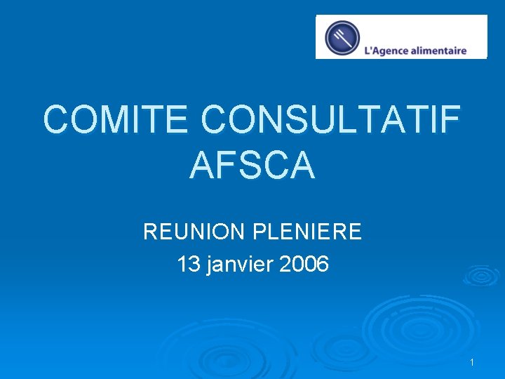 COMITE CONSULTATIF AFSCA REUNION PLENIERE 13 janvier 2006 1 