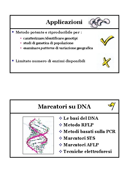 Applicazioni § Metodo potente e riproducibile per : • • • § caratterizzare/identificare genotipi