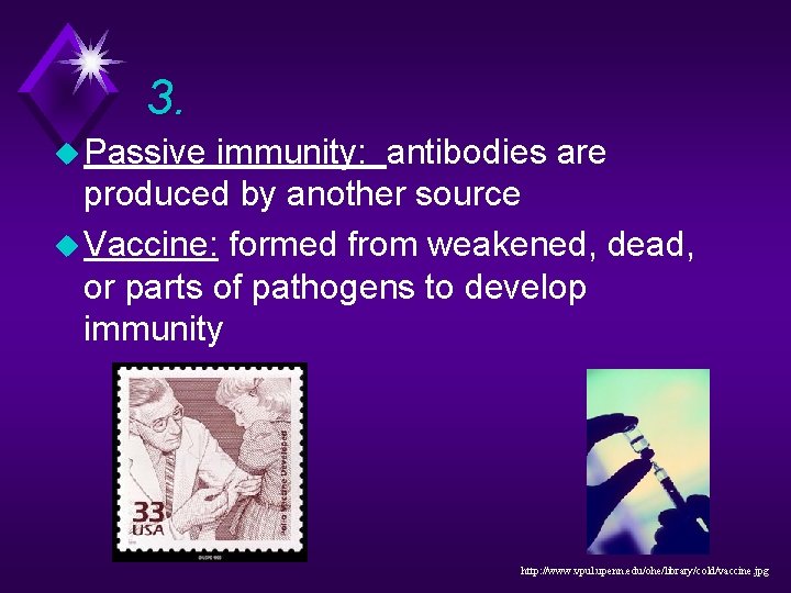 3. u Passive immunity: antibodies are produced by another source u Vaccine: formed from