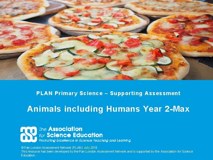 PLAN Primary Science – Supporting Assessment Animals including Humans Year 2 -Max © Pan