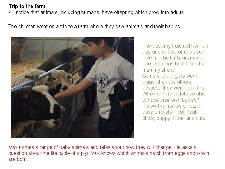 Trip to the farm • notice that animals, including humans, have offspring which grow