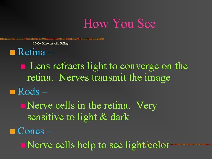 How You See © 2000 Microsoft Clip Gallery Retina – n Lens refracts light