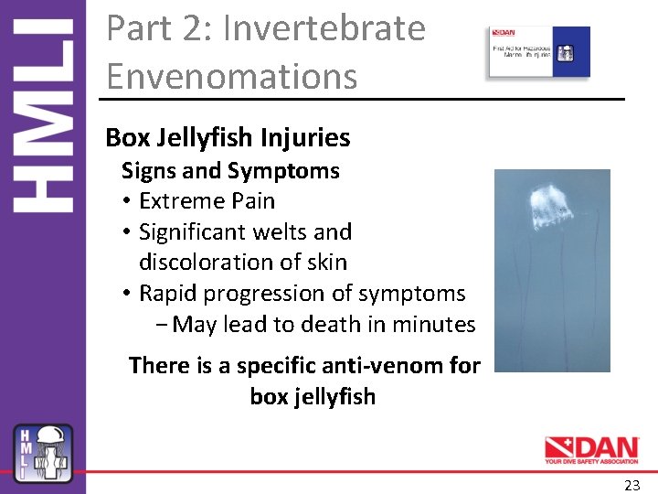 First Aid for Hazardous Marine Life Injuries August