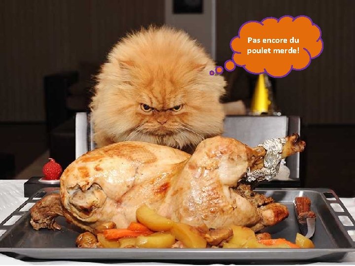 Pas encore du poulet merde! 