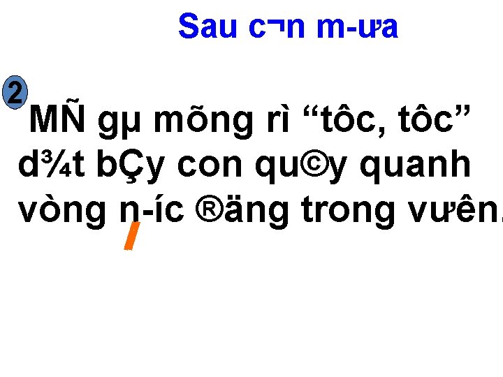 Sau c¬n m ưa 2 MÑ gµ mõng rì “tôc, tôc” d¾t bÇy con Sau c¬n m ưa 2 MÑ gµ mõng rì “tôc, tôc” d¾t bÇy con