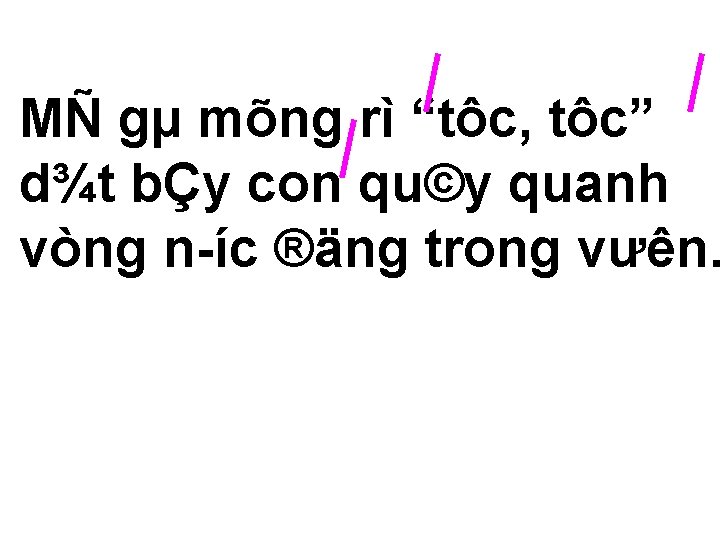 MÑ gµ mõng rì “tôc, tôc” d¾t bÇy con qu©y quanh vòng n íc