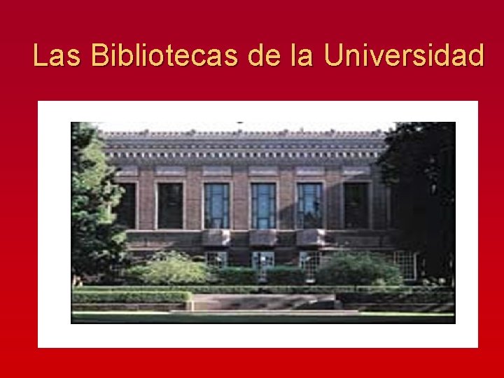 Las Bibliotecas de la Universidad 