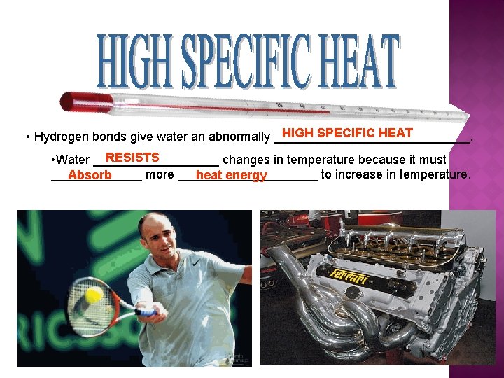 HIGH SPECIFIC HEAT • Hydrogen bonds give water an abnormally ______________. RESISTS • Water