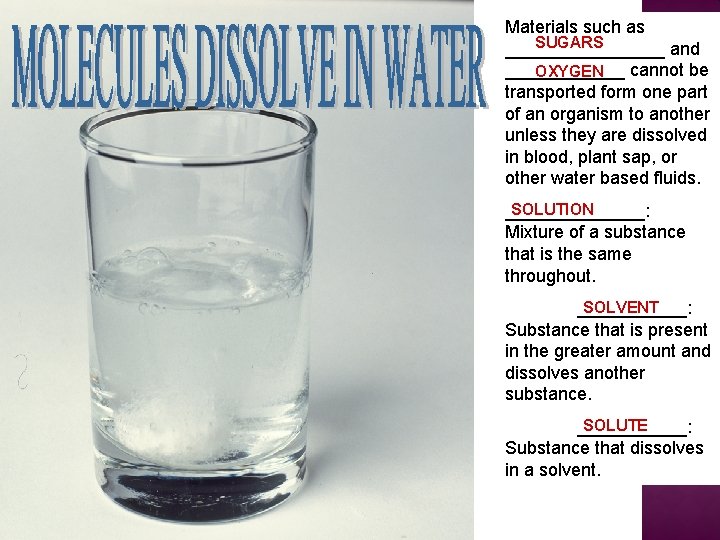 Materials such as SUGARS ________ and ______ cannot be OXYGEN transported form one part