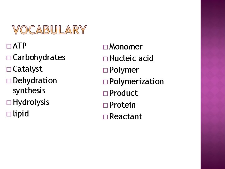 � ATP � Monomer � Carbohydrates � Nucleic � Catalyst � Dehydration synthesis �