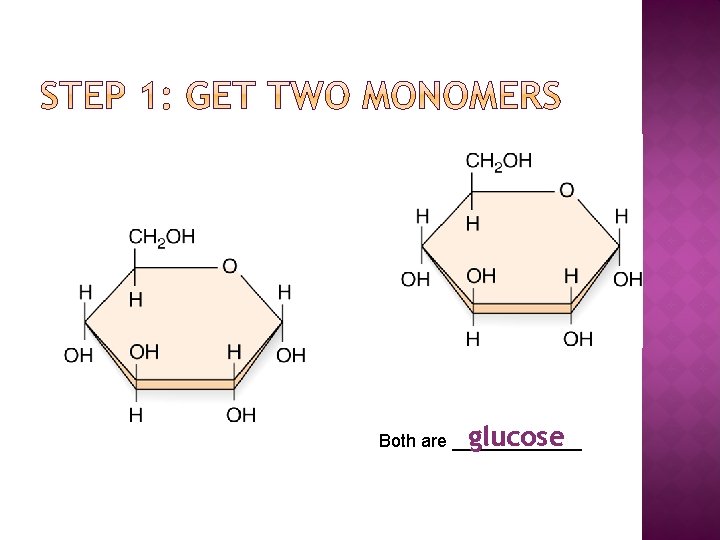 glucose Both are _______ 