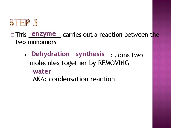 enzyme carries out a reaction between the _____ two monomers � This Dehydration ______: