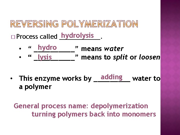 � Process hydrolysis called ______. hydro • “ _____” means water • “ _____”