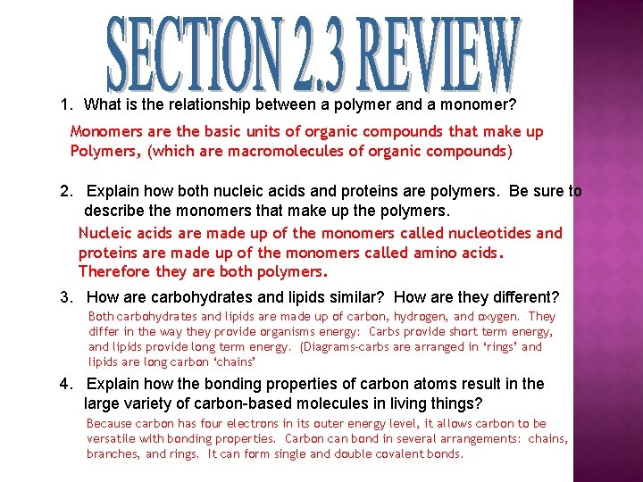 1. What is the relationship between a polymer and a monomer? Monomers are the