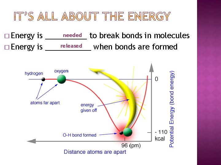 � Energy needed to break bonds in molecules is _____ released � Energy is