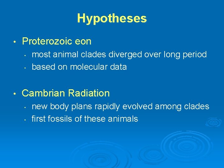 Hypotheses • Proterozoic eon • • • most animal clades diverged over long period