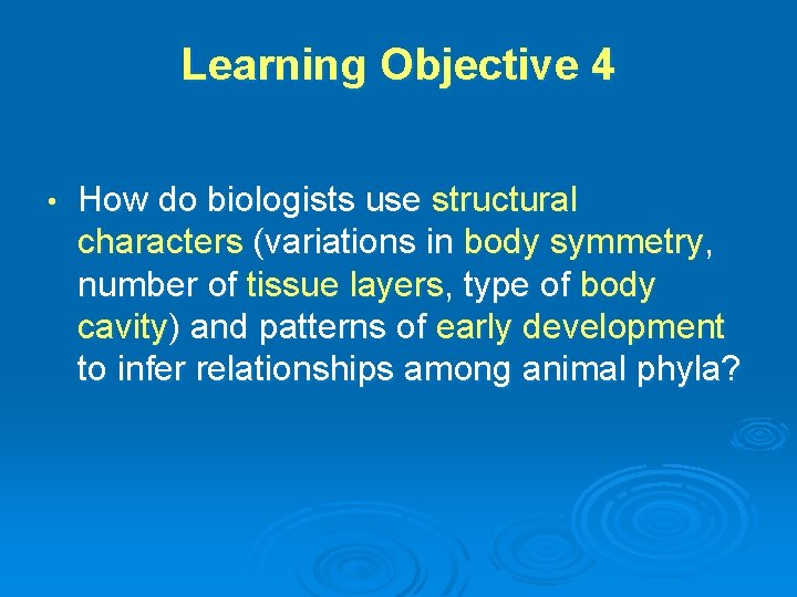 Learning Objective 4 • How do biologists use structural characters (variations in body symmetry,