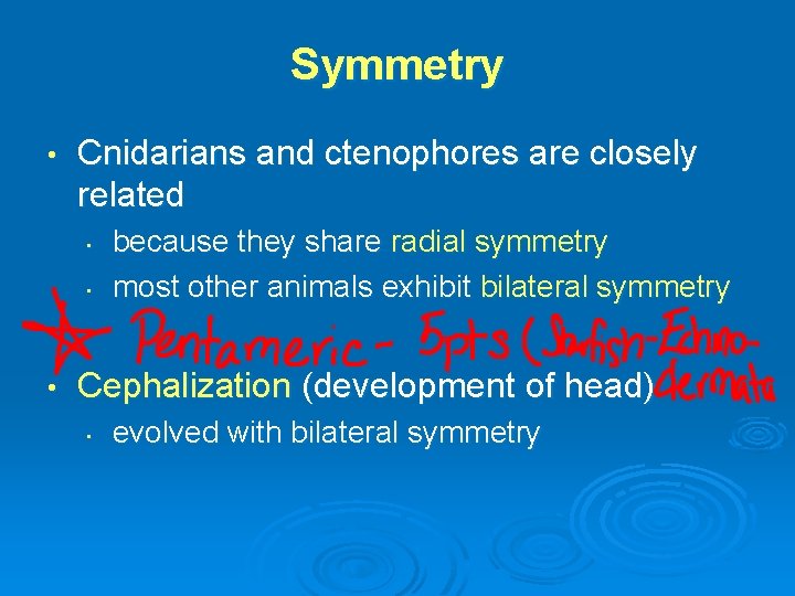 Symmetry • Cnidarians and ctenophores are closely related • • • because they share