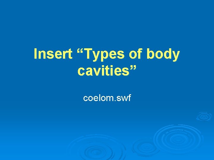 Insert “Types of body cavities” coelom. swf 