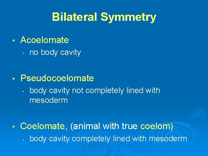 Bilateral Symmetry • Acoelomate • • Pseudocoelomate • • no body cavity not completely