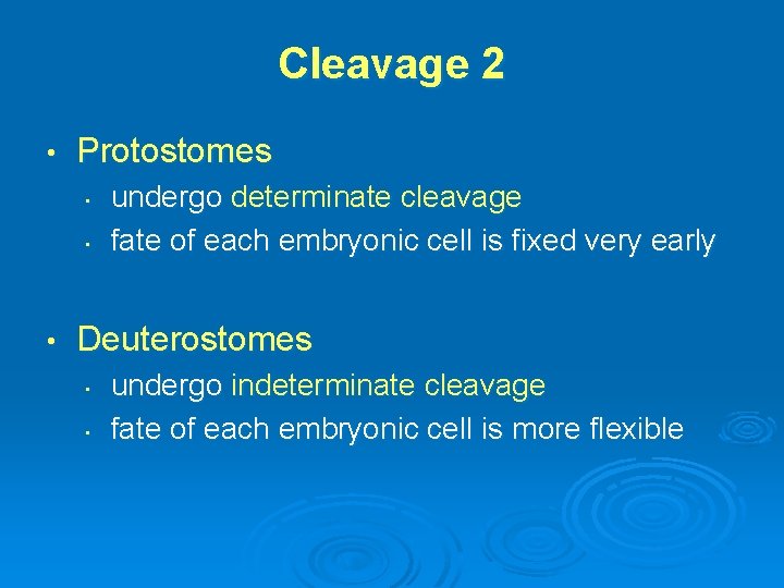 Cleavage 2 • Protostomes • • • undergo determinate cleavage fate of each embryonic