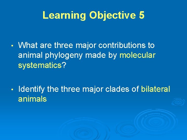 Learning Objective 5 • What are three major contributions to animal phylogeny made by