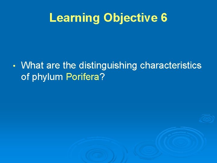 Learning Objective 6 • What are the distinguishing characteristics of phylum Porifera? 