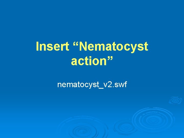 Insert “Nematocyst action” nematocyst_v 2. swf 