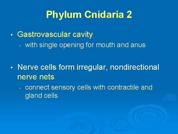 Phylum Cnidaria 2 • Gastrovascular cavity • • with single opening for mouth and