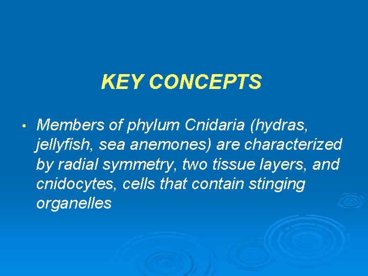 KEY CONCEPTS • Members of phylum Cnidaria (hydras, jellyfish, sea anemones) are characterized by