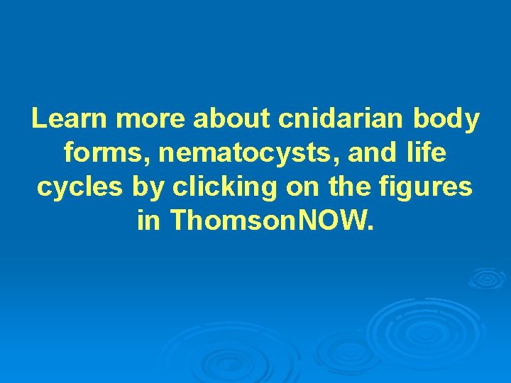 Learn more about cnidarian body forms, nematocysts, and life cycles by clicking on the