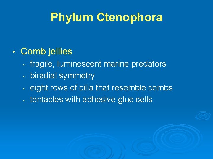Phylum Ctenophora • Comb jellies • • fragile, luminescent marine predators biradial symmetry eight