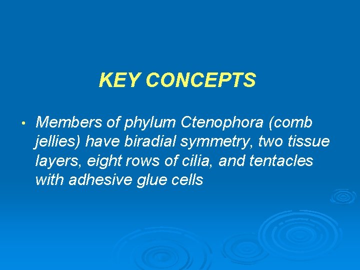 KEY CONCEPTS • Members of phylum Ctenophora (comb jellies) have biradial symmetry, two tissue