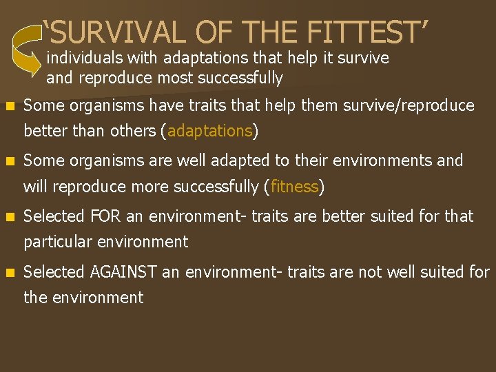 ‘SURVIVAL OF THE FITTEST’ individuals with adaptations that help it survive and reproduce most