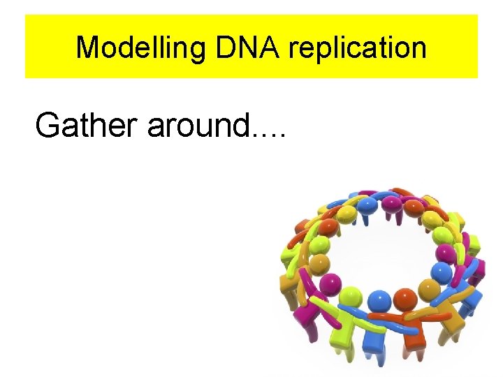 Modelling DNA replication Gather around. . 