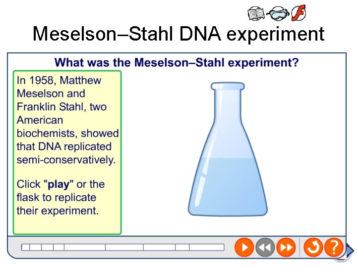 Meselson–Stahl DNA experiment 