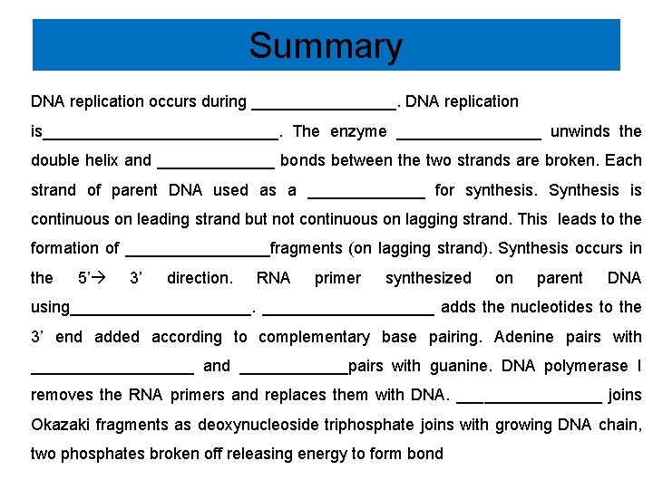 Summary DNA replication occurs during ________. DNA replication is_____________. The enzyme ________ unwinds the