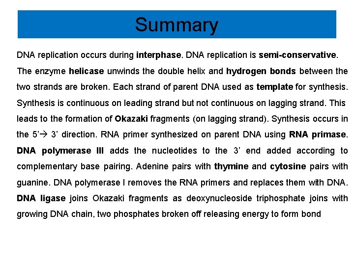 Summary DNA replication occurs during interphase. DNA replication is semi-conservative. The enzyme helicase unwinds